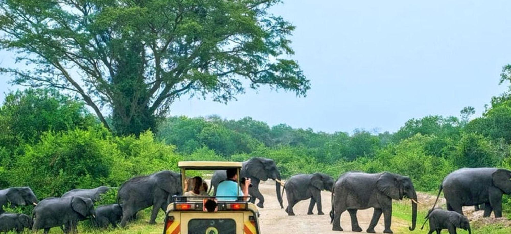 Family Resort Udawalawe Bagian luar foto