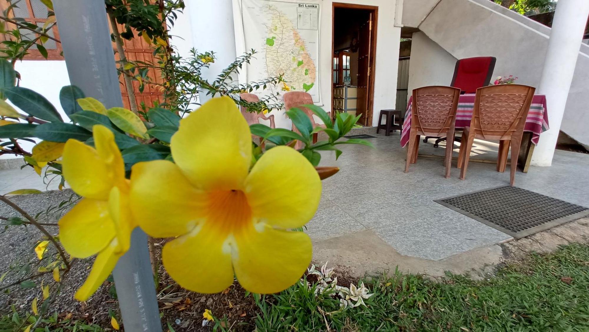 Family Resort Udawalawe Bagian luar foto